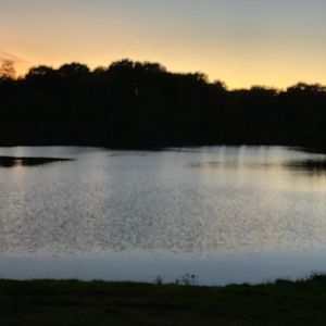 Meet your Posher, Chloe